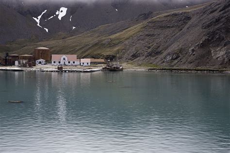 Grytviken Map - South Georgia Island, South Georgia and the South Sandwich Islands - Mapcarta