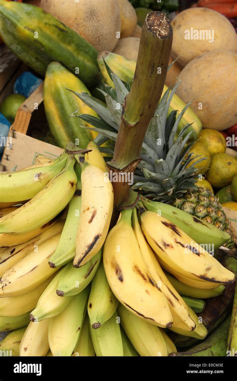 Banana stalk hi-res stock photography and images - Alamy