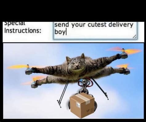 cutest delivery DRONE : r/memes