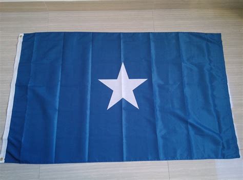 Bonnie Blue Flag – Sons of Confederate Veterans