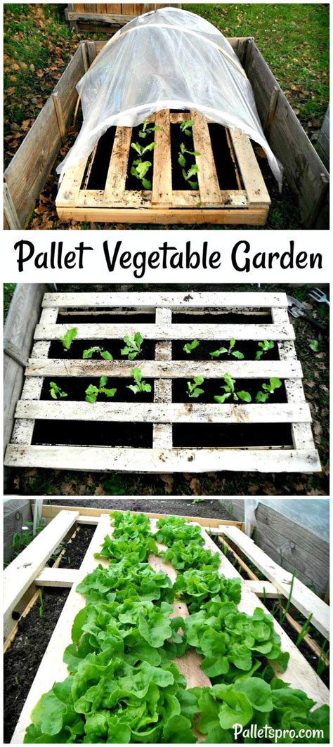 DIY Pallet Vegetable Garden - Pallets Pro