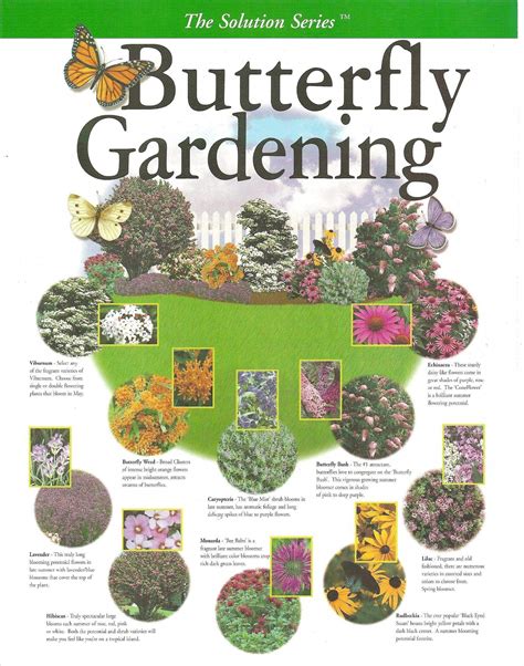 Butterfly Gardening Plan; Create your own Garden with this key map ...