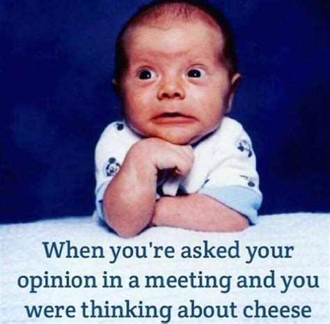 "When you're asked your opinion in a meeting and you were thinking about cheese." #humor #funny ...