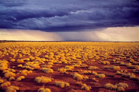 Outback Photographics/Landscapes/Gibson Desert | Deserts of the world ...