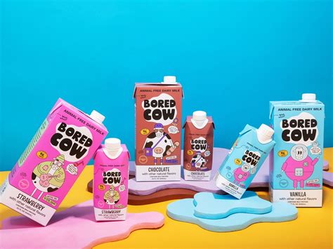 Tomorrow Farms debuts animal-free flavored milk brand Bored Cow with ...