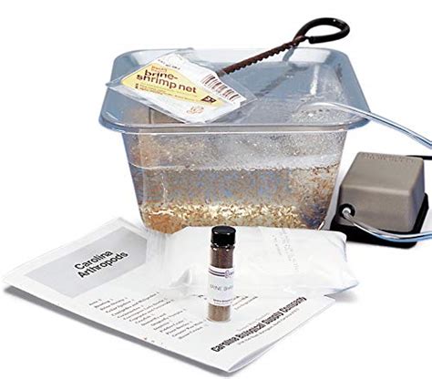 Brine Shrimp Hatchery Kit | Pricepulse