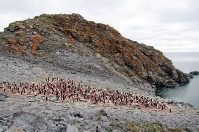 Antarctica Fact File, What is it like in Antarctica, Antarctic environment