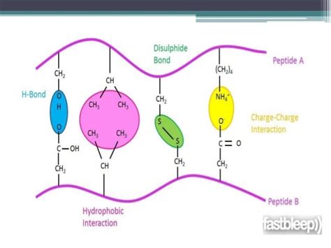 Interaction between ligand and receptor