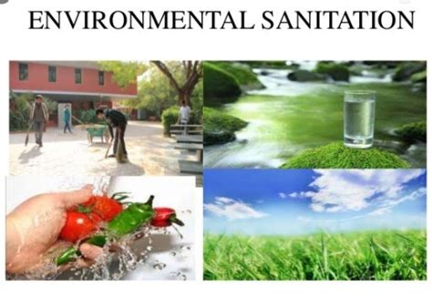 Info about environmental sanitation