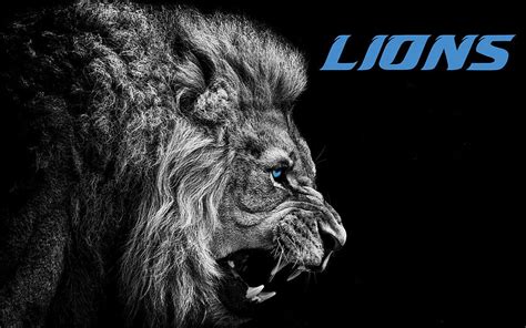 Detroit Lions, Cool Detroit Lions HD wallpaper | Pxfuel