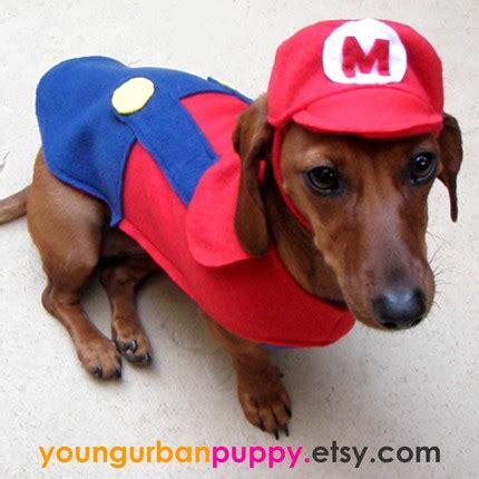 dog nintendo costumes Archives - Fuzzy Today