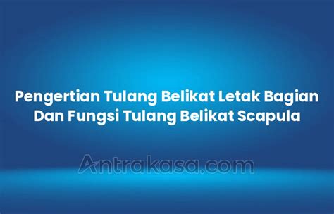 Pengertian Tulang Belikat Letak Bagian Dan Fungsi Tulang Belikat Scapula