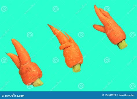 Ugly Food. Deformed Carrots on Trendy Aqua Turquoise Background.Food Waste Problem Concept ...