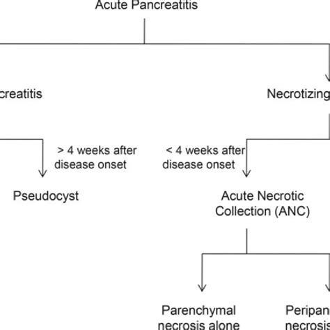 (PDF) Necrotizing Pancreatitis: Diagnosis, Imaging, and Intervention