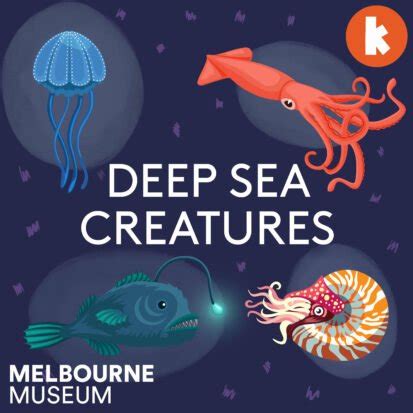 Deep Sea Creatures from The Fact Detectives | Children's Podcast