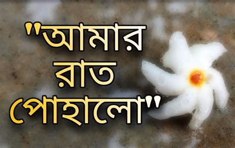 আমার রাত পোহালো গানের কথা । Aamar Raat Pohalo Song Lyrics - By Rabindranath Tagore