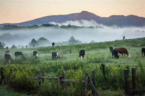 AdventHealth Hendersonville Jobs | AdventHealth Careers