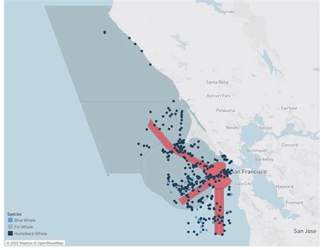 Data Shows Hawaii Shippers Are Regularly Breaking Speed Limits In ...