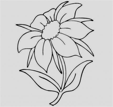 Cute Drawings Of Flowers Simple ~ Pencil Drawings | Dale Sylvia