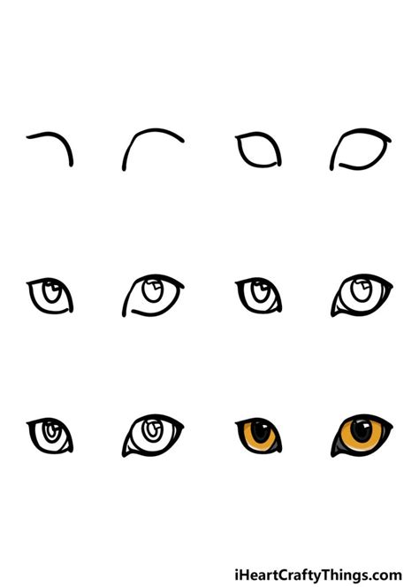 Cat Eyes Drawing - How To Draw Cat Eyes Step By Step