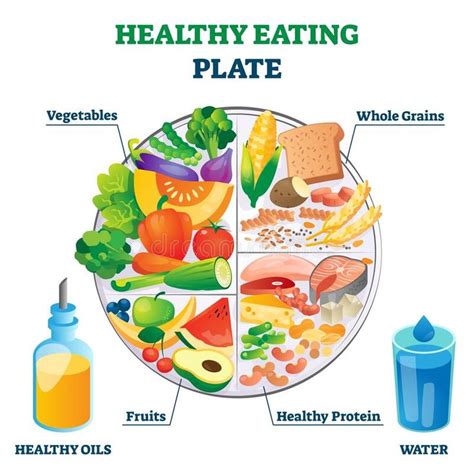 Healthy eating plate vector illustration. Labeled educational food example. Healthy eati ...