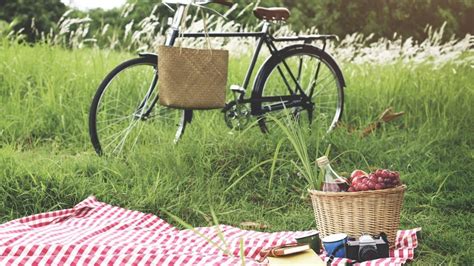 Picnic in Amsterdam: the Ultimate Picnic Spots in the City