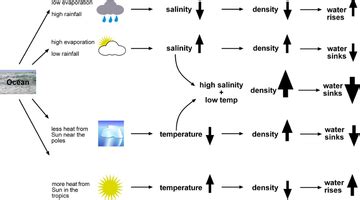 Ocean salinity, temperature and density — Science Learning Hub