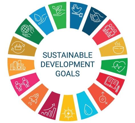 Sustainable Development Goals: A Challenge for Education? | Observatory - Institute for the ...