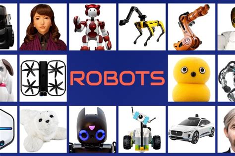 Types of Robots describe main types of robots based on their functionality