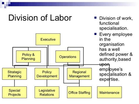 Max weber bureaucracy