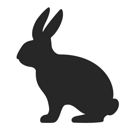 Rabbit Side View Stock Photos, Pictures & Royalty-Free Images - iStock