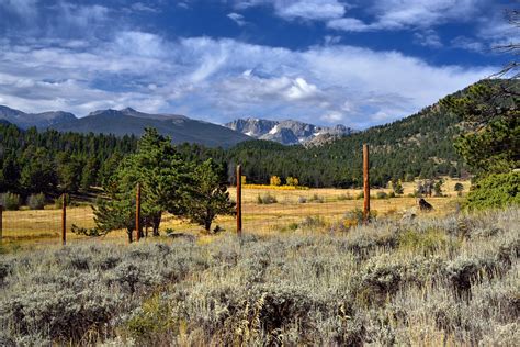 A Changing Look of Vegetation Across a Rocky Mountain View… | Flickr