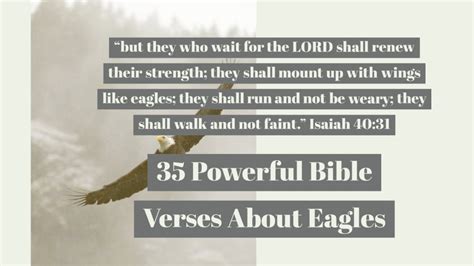 35 Powerful Bible Verses About Eagles (Soaring On Wings)