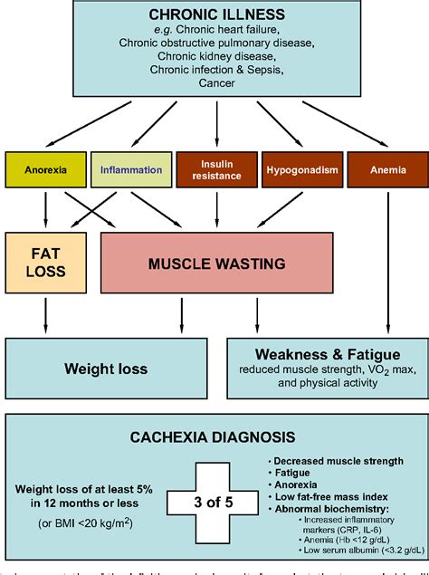 Cachexia: a new definition. | Semantic Scholar