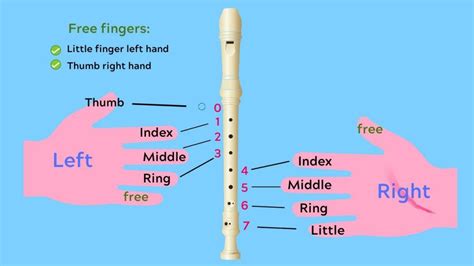 🥇How to Play the Recorder🥇 Learn it NOW ! with【SONGS】 | Recorder songs ...