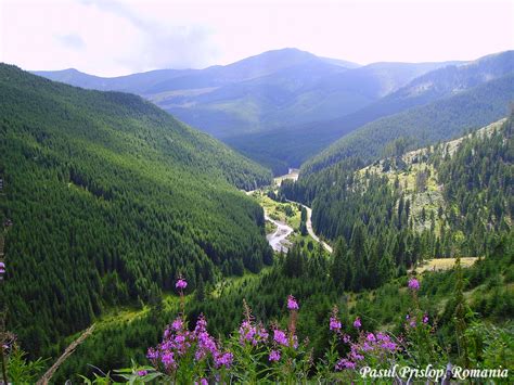 Pasul Prislop carpathian mountains Romania most beautiful european ...