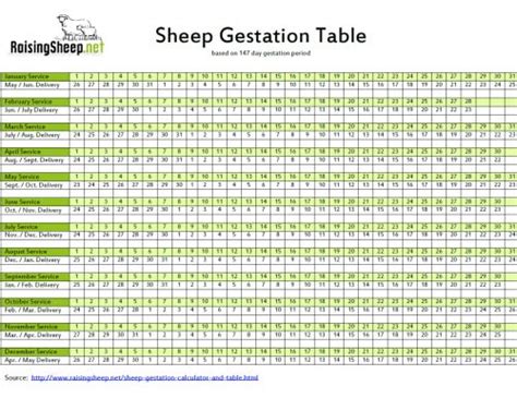 Sheep Gestation Calculator | Gestation Table for Sheep - RaisingSheep.net