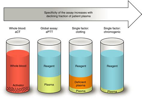 Cool Info About How To Diagnose Haemophilia - Storyhigh