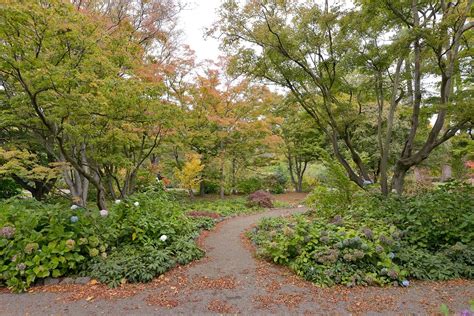 Gardens to visit - Christchurch Botanic Gardens