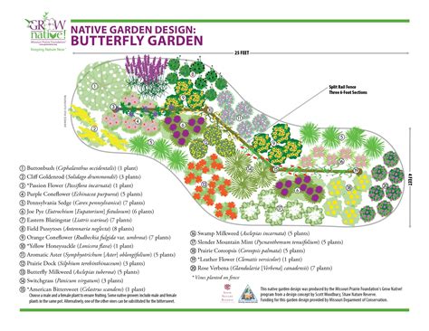 Butterfly Berm - Grow Native!