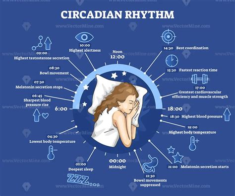 Circadian rhythm as educational natural cycle for healthy sleep and ...