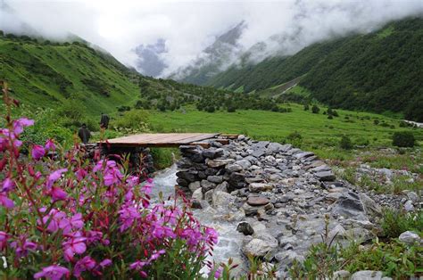 Nanda Devi and Valley of Flowers National Parks | India Heritage Sites