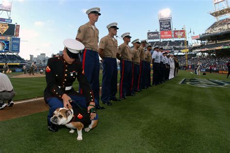 File:US Navy 040415-N-9421C-104 A U.S. Marine fixes the uniform on the Marine Corps bulldog ...