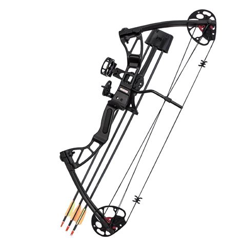 Best Compound Bow 2024 - Gayel Joelynn