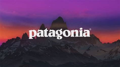 I made a photo-realistic version of the Patagonia logo: graphic_design | Patagonia logo ...