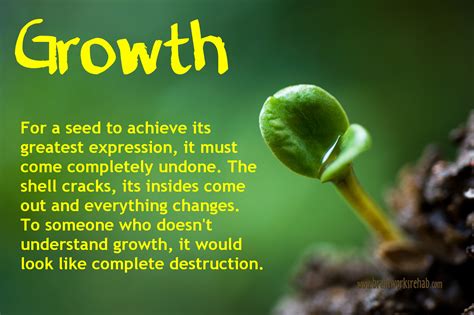 Quotes About Growth And Seeds. QuotesGram