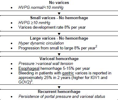 English | World Gastroenterology Organisation