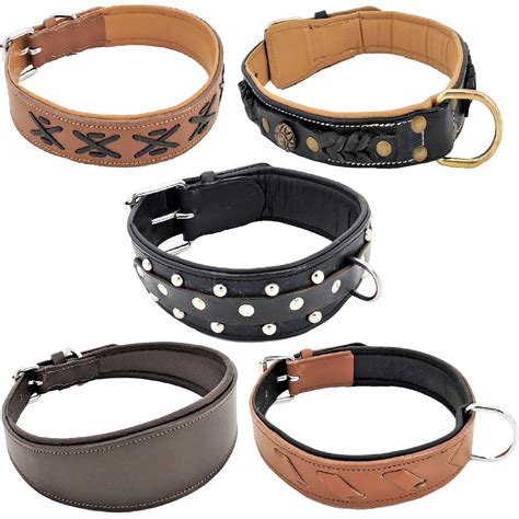 Walking Collars For Dogs: A Comprehensive Guide For Pet Owners