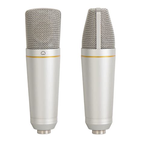 34mm Large Diaphragm Recording Capacitive Microphone - China Microphone ...