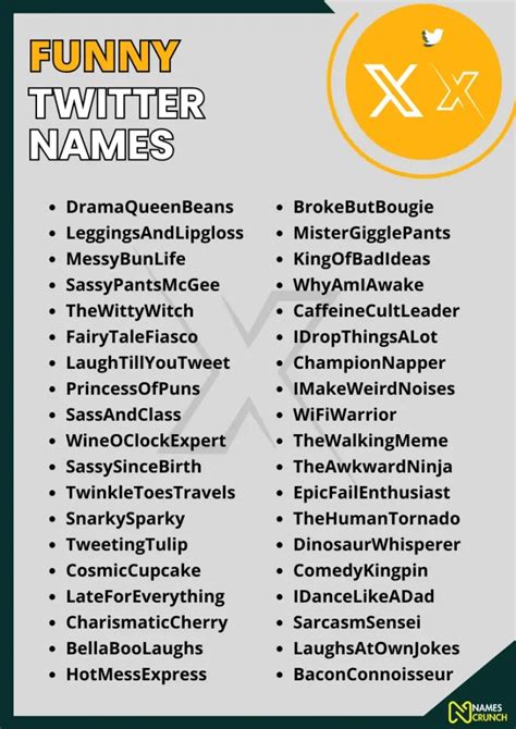 670+ Cool & Funny Twitter Names - Names Crunch